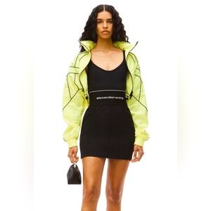 Alexander wang mini dress